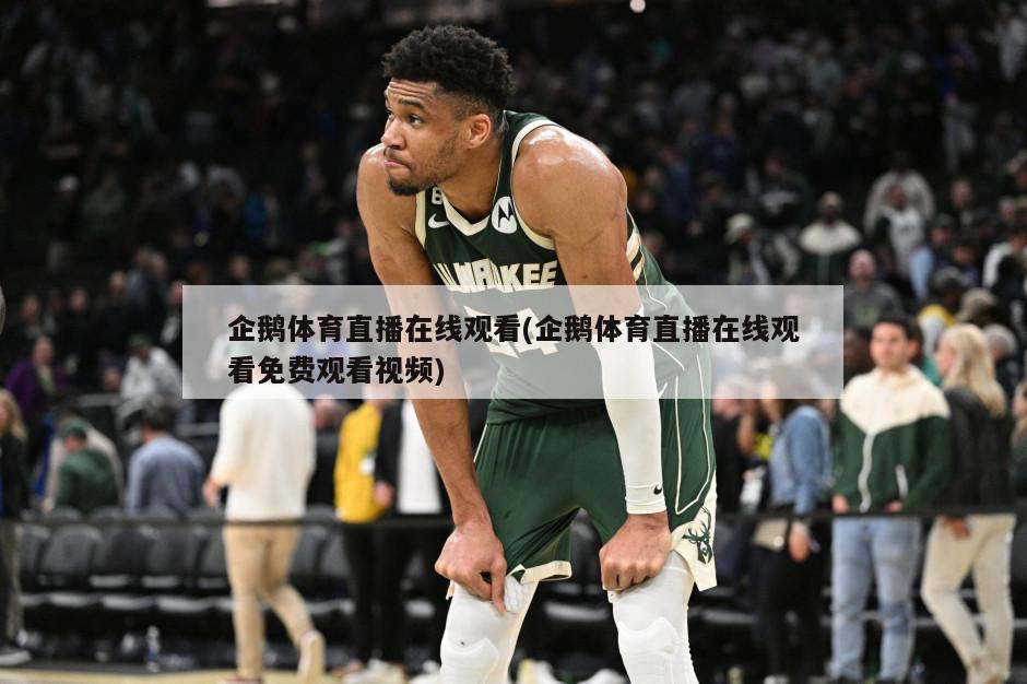 企鹅体育直播在线观看(企鹅体育直播在线观看免费观看视频)