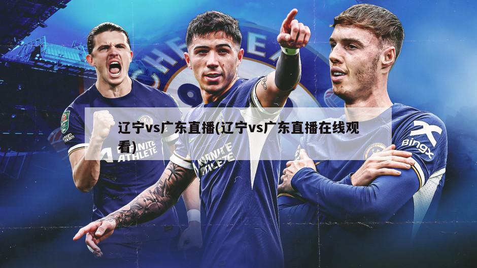 辽宁vs广东直播(辽宁vs广东直播在线观看)