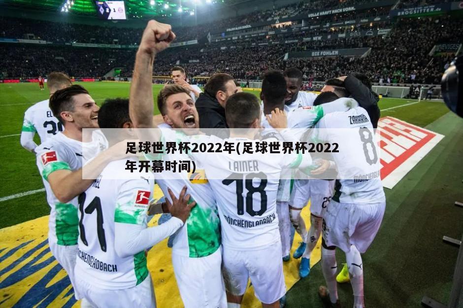 足球世界杯2022年(足球世界杯2022年开幕时间)