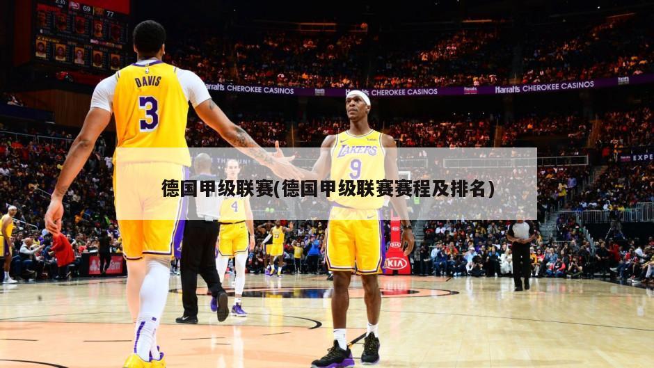 德国甲级联赛(德国甲级联赛赛程及排名)