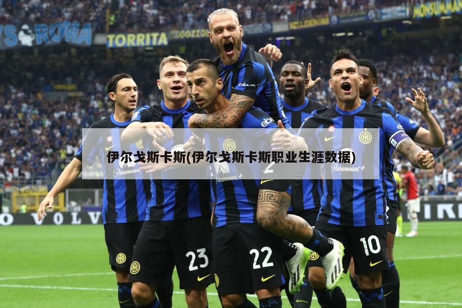 伊尔戈斯卡斯(伊尔戈斯卡斯职业生涯数据)