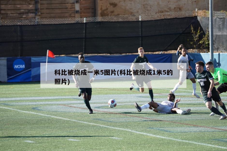 科比被烧成一米5图片(科比被烧成1米5的照片)