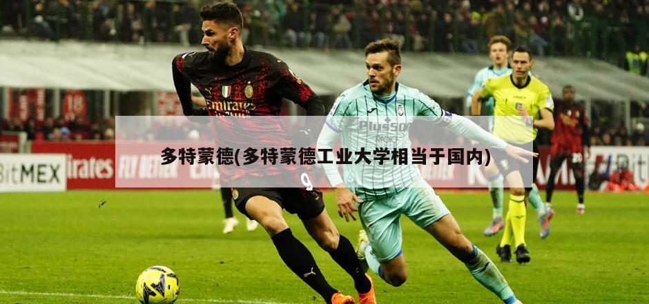 多特蒙德(多特蒙德工业大学相当于国内)