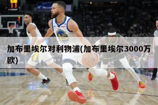加布里埃尔对利物浦(加布里埃尔3000万欧)
