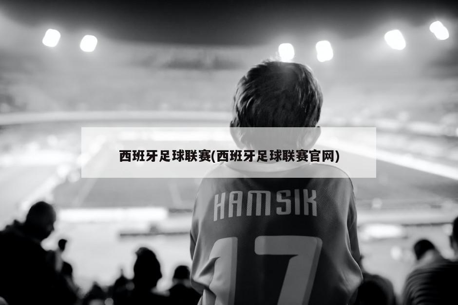 西班牙足球联赛(西班牙足球联赛官网)