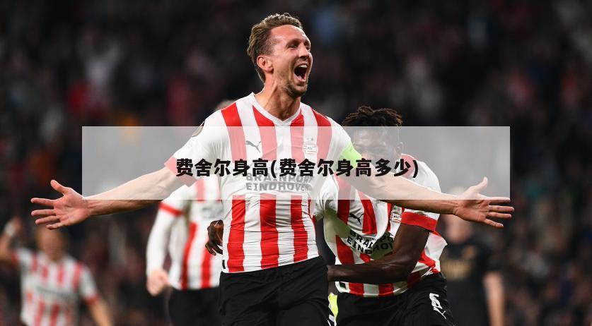 费舍尔身高(费舍尔身高多少)