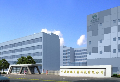 宁波快盈VIII